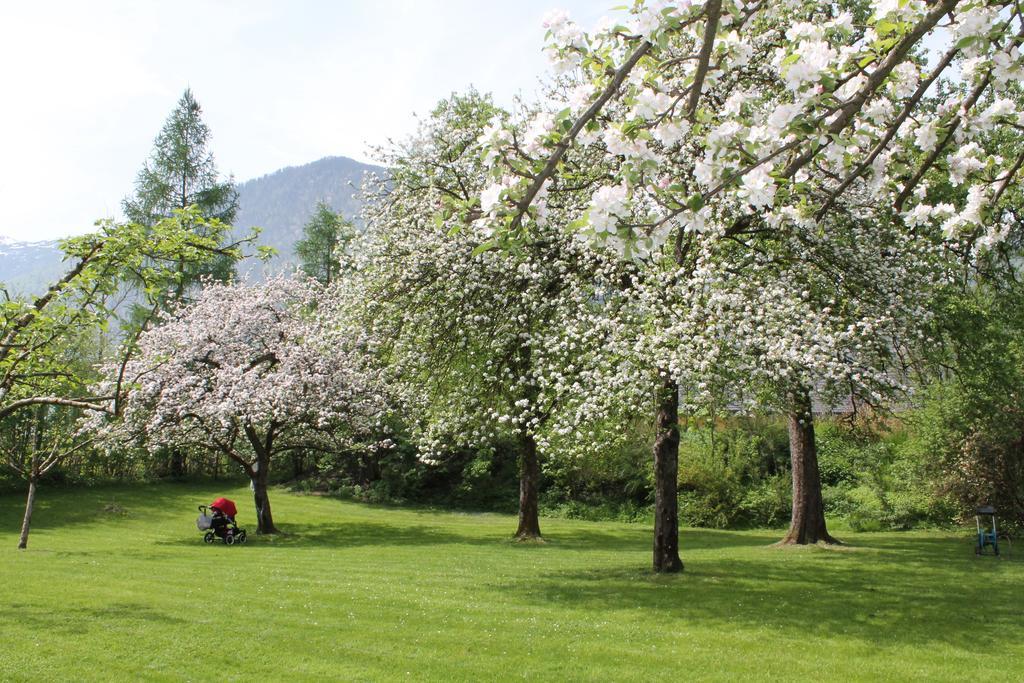 Hotel Hochsteg Guetl | Traunsee Salzkammergut เอเบินซี ห้อง รูปภาพ